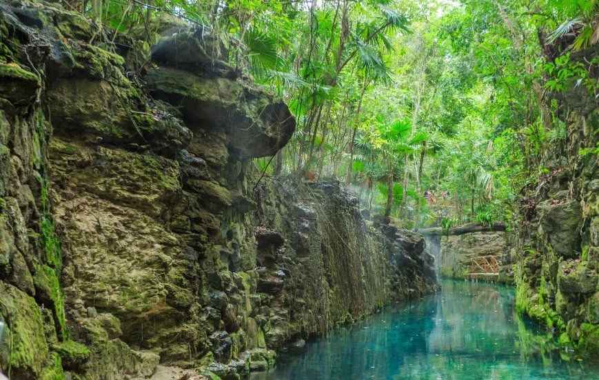 Blog sur le Parc Xcaret disponible à la location à Cancun