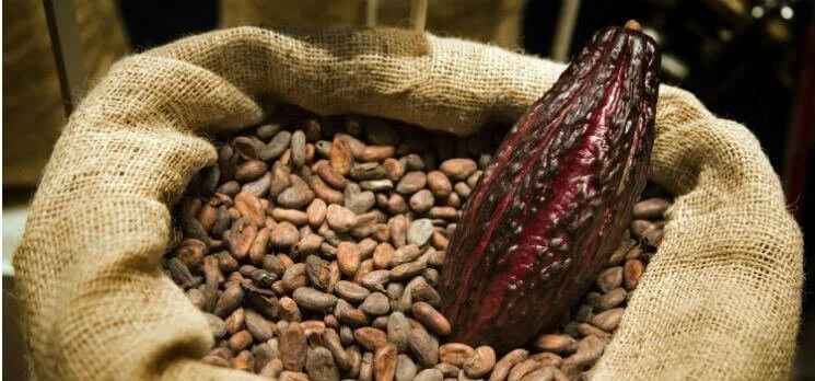 The chocolate museum in Merida, the Yucatan